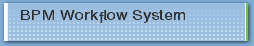 BPM Workflow System